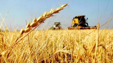 El Gobierno extiende la baja de retenciones para el trigo y la cebada pero deja afuera a la soja