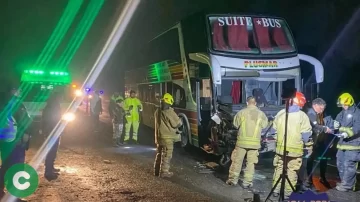 Un micro chocó contra dos vacas en la Ruta 3
