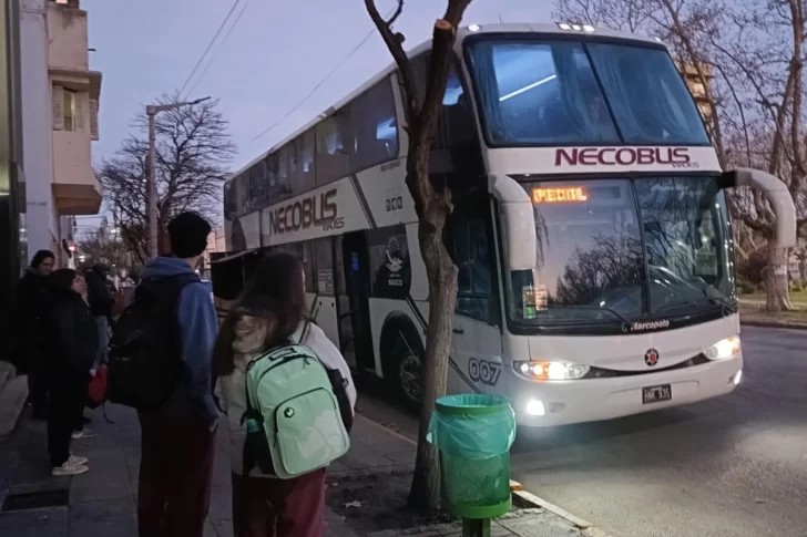 Alumnos y alumnas participan de la Feria de Educación, Artes, Ciencias y Tecnología.