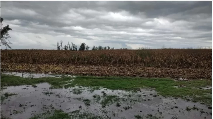 Cuáles son los distritos bonaerenses que se incluyeron en la nueva emergencia agropecuaria