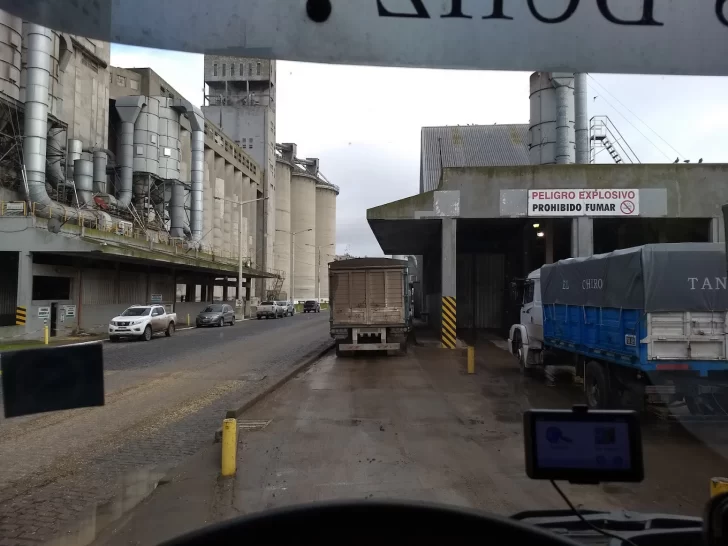 “El directorio del Consorcio tiene que avanzar en la licitación del elevador portuario”