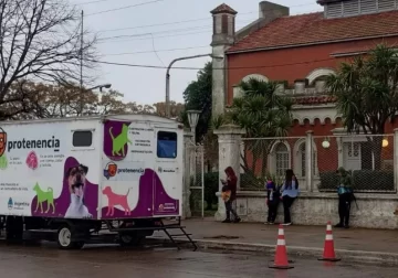 Tras suspenderse la semana pasada, cuándo es la jornada de castración masiva