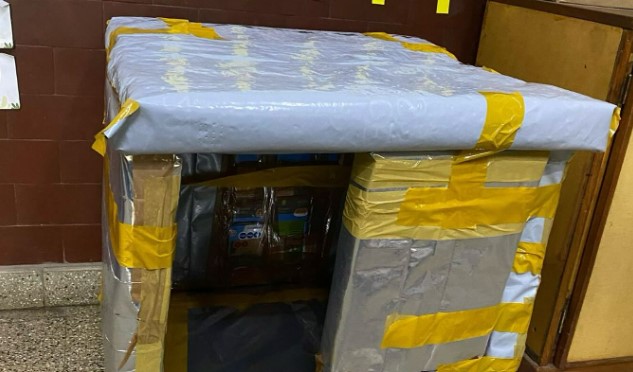 Pequeños héroes: alumnos de Necochea construyen casas para perros callejeros