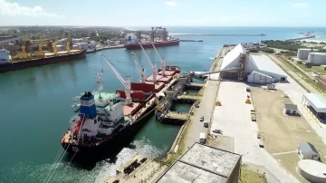 Puerto Quequén lanza licitación pública para la contratación del servicio de control de plagas