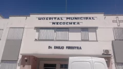 Desfiguró a golpes a su pareja y el hijo de la víctima intentó encubrirlo atacando a la Policía