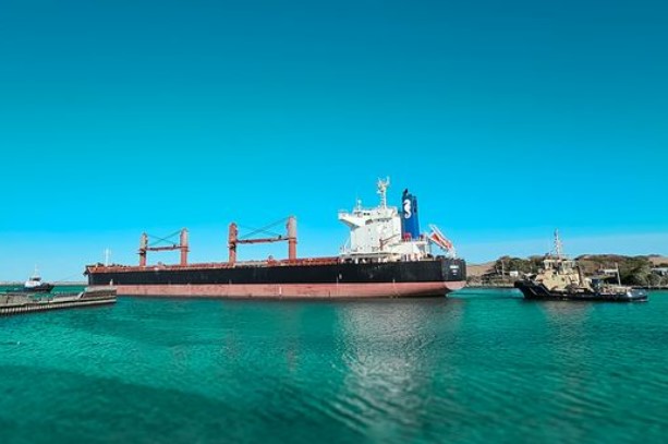 Por deudas, quedó detenido un barco cargado de pellets de soja