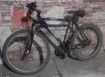 Robó una bicicleta y al ver a la policía la descartó y se dio a la fuga