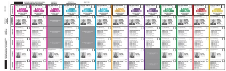 La Libertad Avanza pedirá la reimpresión de las boletas y aguarda la definición de la Justicia Electoral