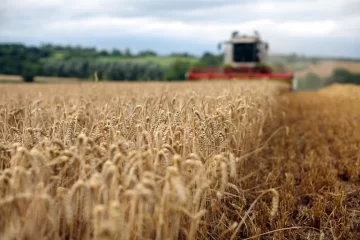La máquina de fabricar dólares dejó de andar como antes y el campo baraja recambios