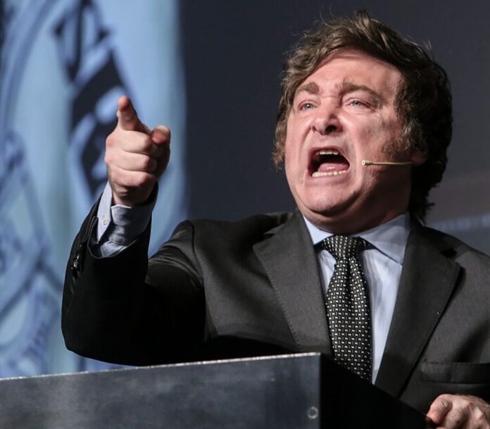 Le pedirán a Milei que revise el decreto que baja la edad para tener armas