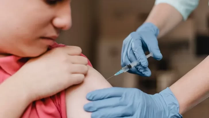 Con la primavera, advierten por el avance del dengue y llaman a reforzar la prevención