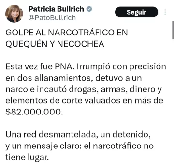 Fue hace 20 días el operativo antidroga del que habla Patricia Bullrich