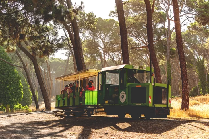 Enamorate-Parque2-728x485