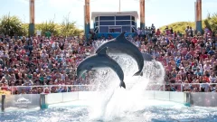 Anuncian el cierre definitivo del Aquarium Mar del Plata