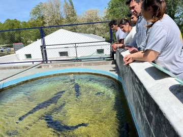La Estación de Piscicultura reabre sus puertas para visitas educativas