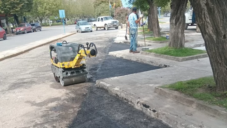 Efectuaron tareas de bacheo, poda y señalización en bulevares del microcentro