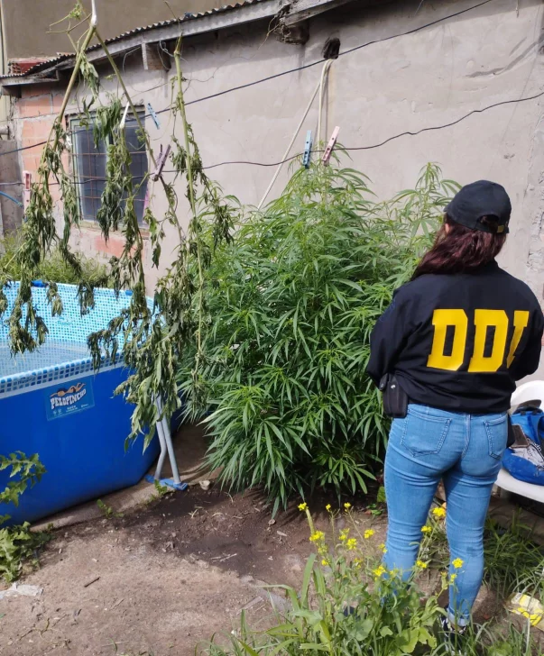 5682cd82-dc45-4cac-b5e8-8befb118b004-603x728