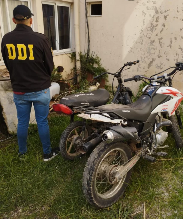 9dfcfed5-9b12-4a42-853d-49ef8a5726cb-610x728