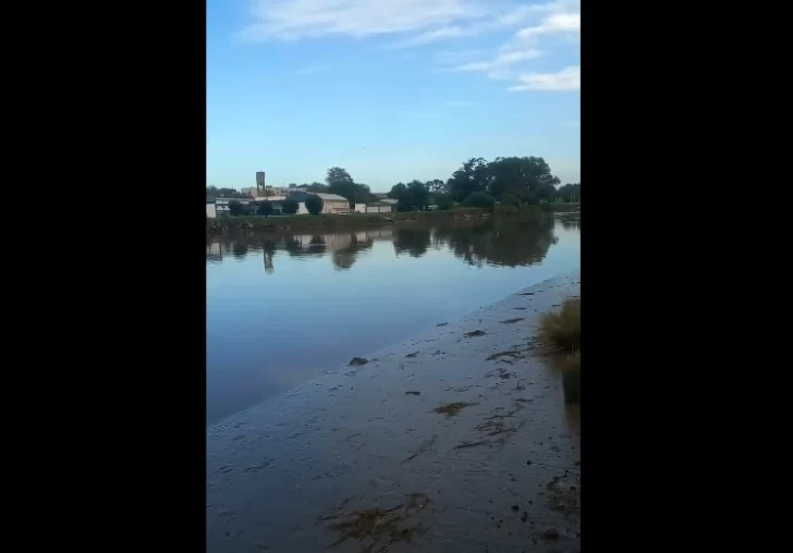 El río vuelve a su cauce normal después de la crecida de ayer