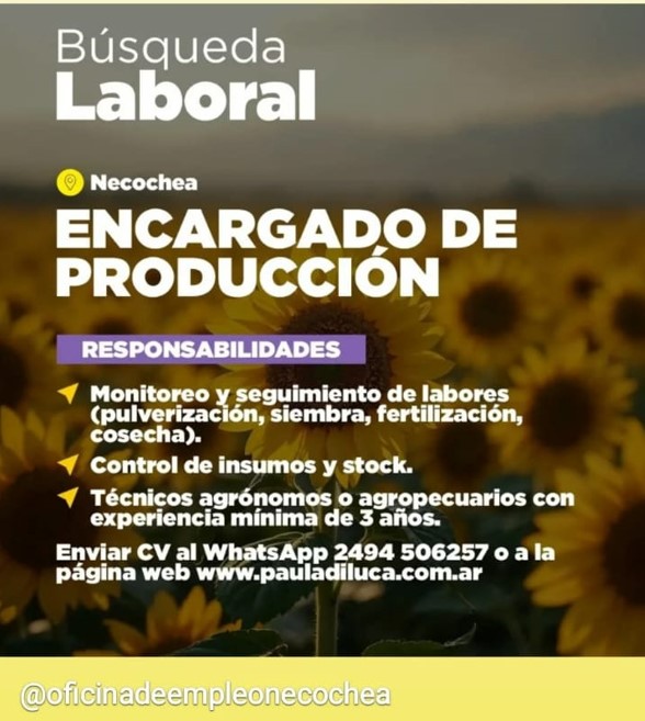 Captura-de-pantalla-2025-03-20-102646