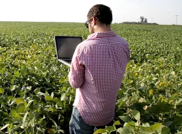 Buscan encargado de producción agrícola con experiencia