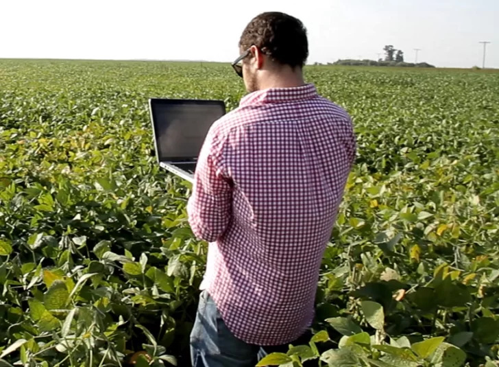 Buscan encargado de producción agrícola con experiencia