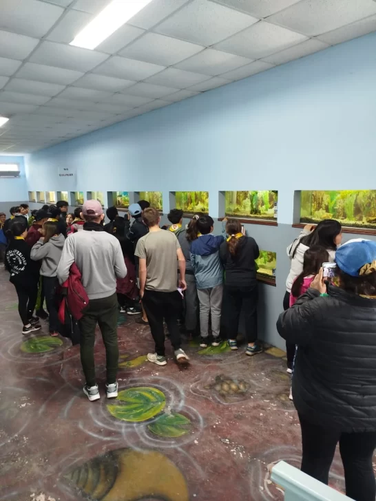 07-04-FOTO-visita-Piscicultura4-546x728