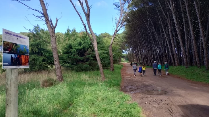 El Sendero de Aves otro paseo en el Parque Miguel Lillo