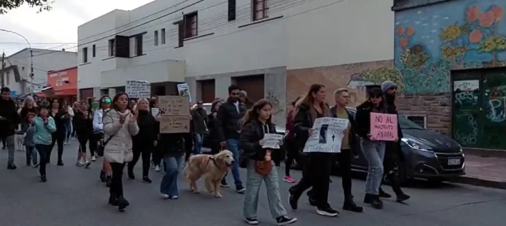 Notificación a la dueña del perro Hércules