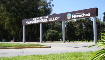 Cómo estará el clima este jueves en Necochea y Quequén