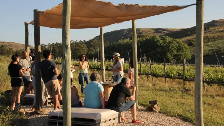 El rincón bonaerense a menos dos horas de Necochea que conquista con sus vinos serranos