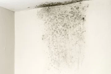 Revelan un truco que elimina las manchas de humedad en las paredes