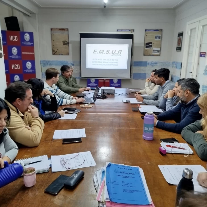 496112619_10236838329874271_5465274428370325797_n-728x728