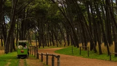 Cómo estará el clima este viernes en Necochea y Quequén