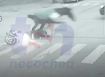 De esta manera un caballo embestía a una mujer en 70 y 55