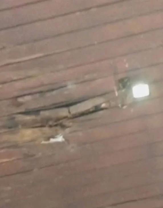 WhatsApp-Image-2025-05-28-at-15.33.45-1-572x728