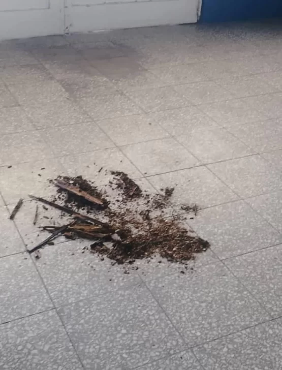 WhatsApp-Image-2025-05-28-at-15.33.45-555x728