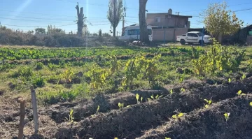 Tuvo sexo con una compañera de trabajo en la Municipalidad, lo descubrieron y lo echaron