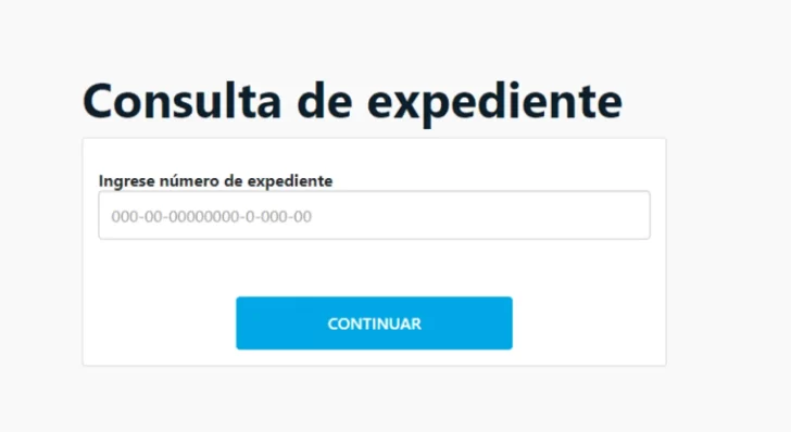 ANSES-Expewdiente-1-728x398