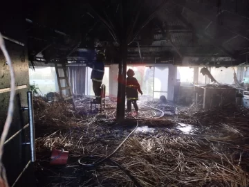 Incendio de vivienda en Calle 11: pérdidas totales