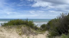 Lobería: nace una nueva reserva natural en Arenas Verdes