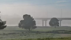 Pronóstico en Necochea y Quequén: mañana fría con niebla y tarde parcialmente nublada