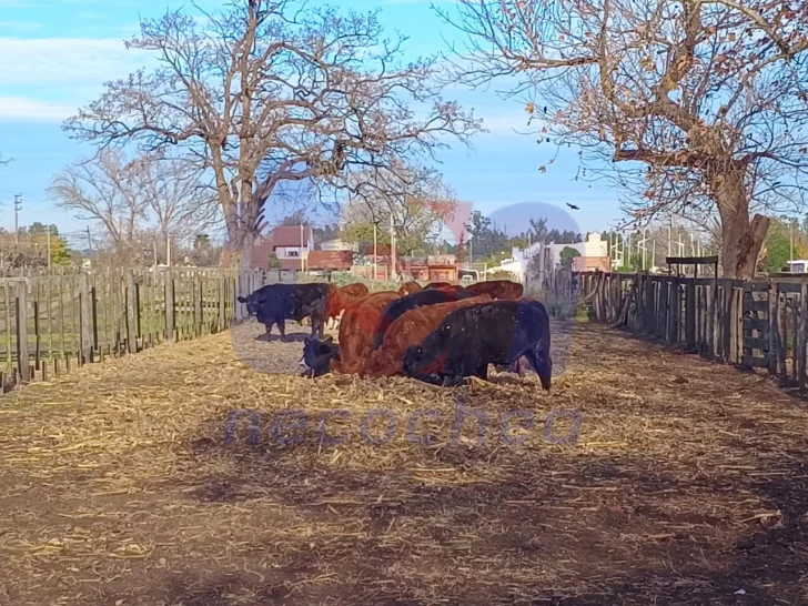 WhatsApp-Image-2025-06-05-at-12.12.07-1-728x546