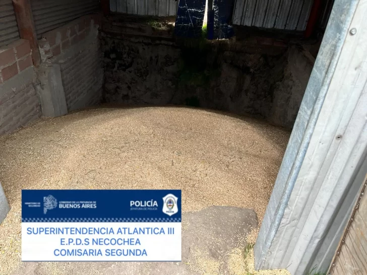 WhatsApp-Image-2025-06-14-at-13.33.28-728x546