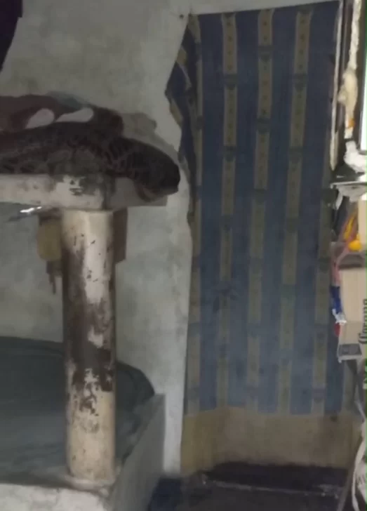 WhatsApp-Image-2025-06-19-at-15.53.22-523x728