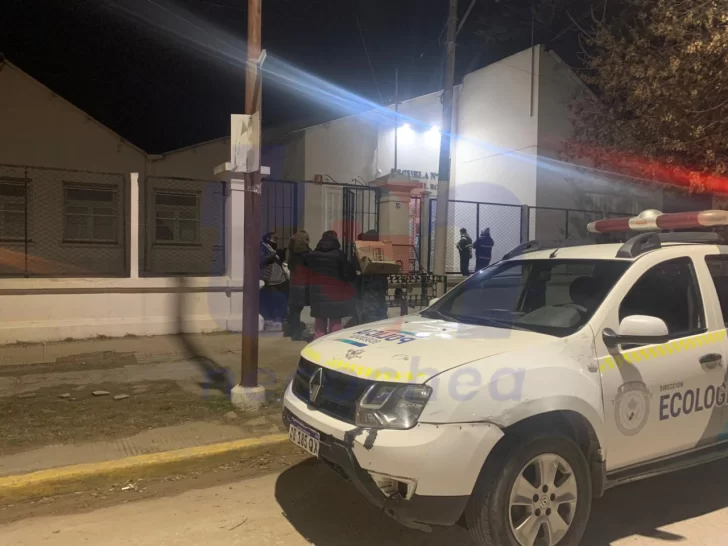 Suspenden las clases en la Escuela Primaria N.º 10