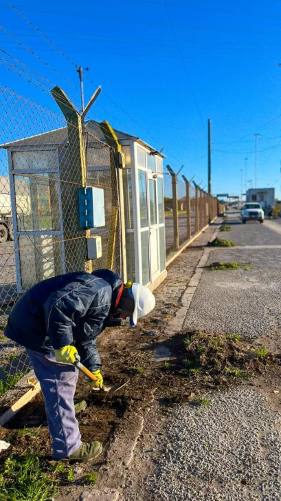 WhatsApp-Image-2025-06-28-at-23.05.29-409x728