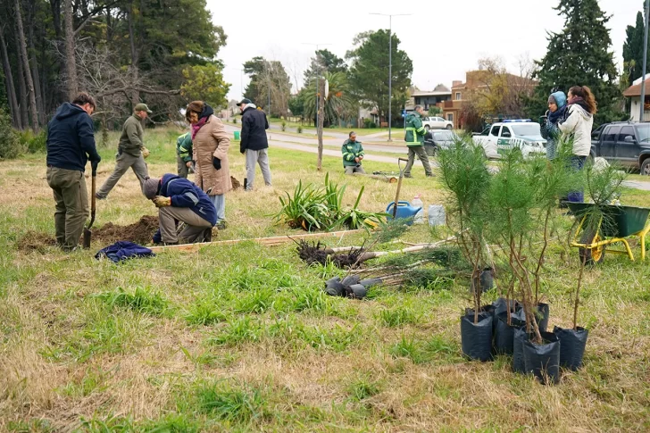 Plantaron nuevos especies arbóreas en el Parque Miguel Lillo