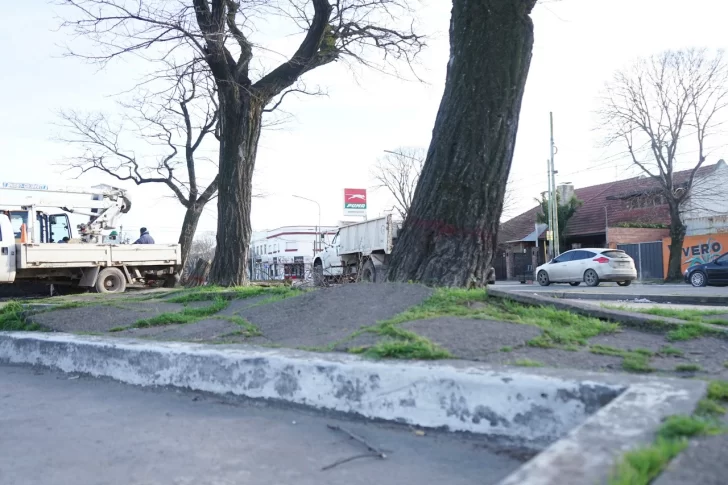 Infraestructura urbana: acondicionan el bulevar de avenida 59 entre 44 y 46