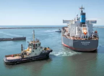 Varios barcos en el Puerto: China y Vietnam los principales destinos